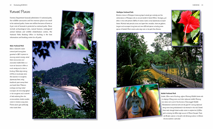 enchanting borneo