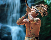 enchanting borneo