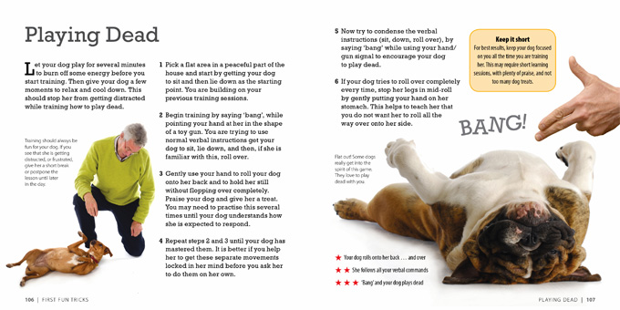 how smart is your dog