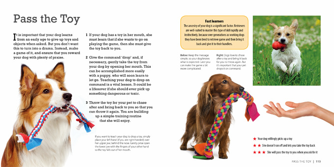 how smart is your dog