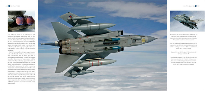 fighting force