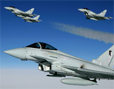 fighting force