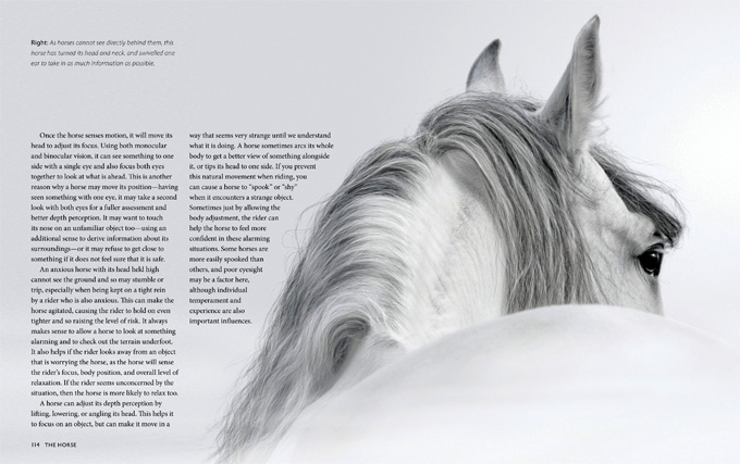 horse