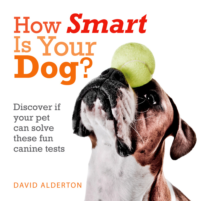 how smart is your dog