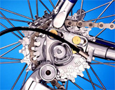 my bike