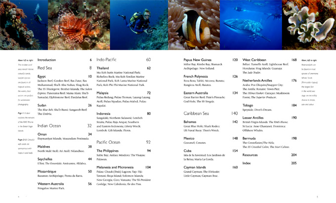 tropical dives