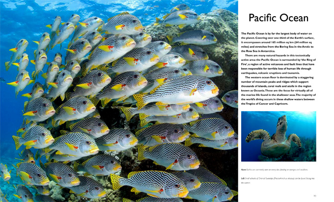 tropical dives
