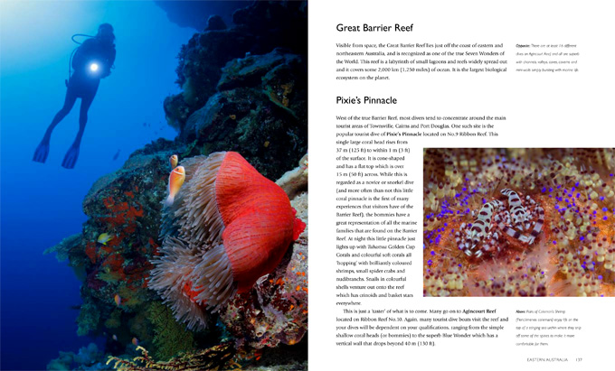 tropical dives