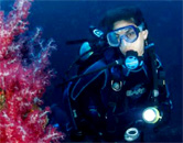 tropical dives